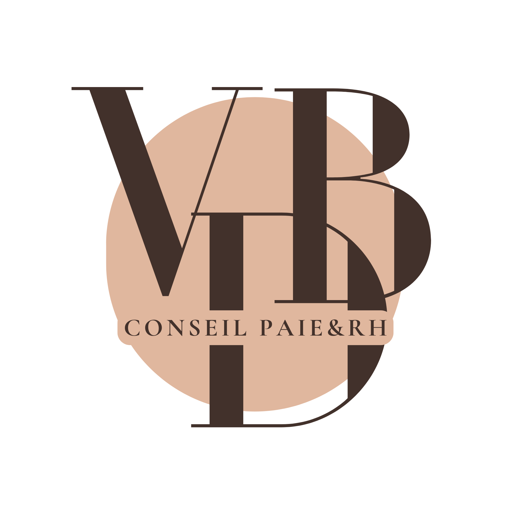 VDB CONSEIL PAIE&RH