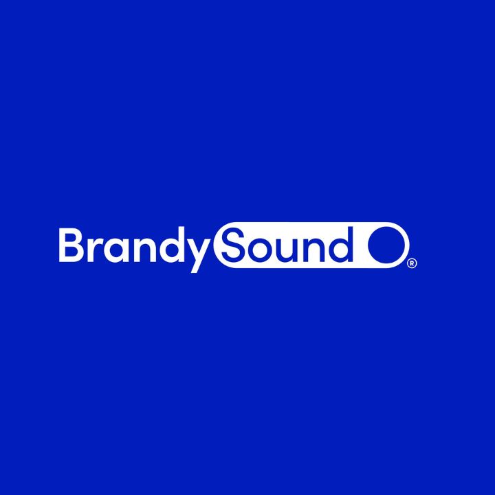 BRANDY SOUND EQUITY GROUP