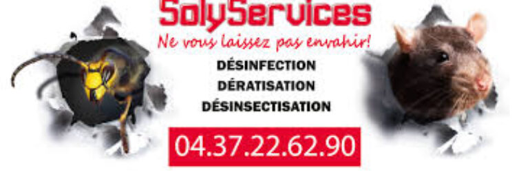 Solyservices